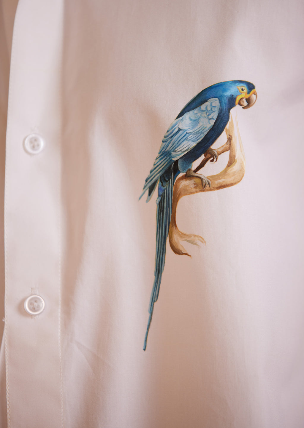 Macaw Hand-Painted Shirt
