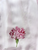 Celestial Bloom Shirt